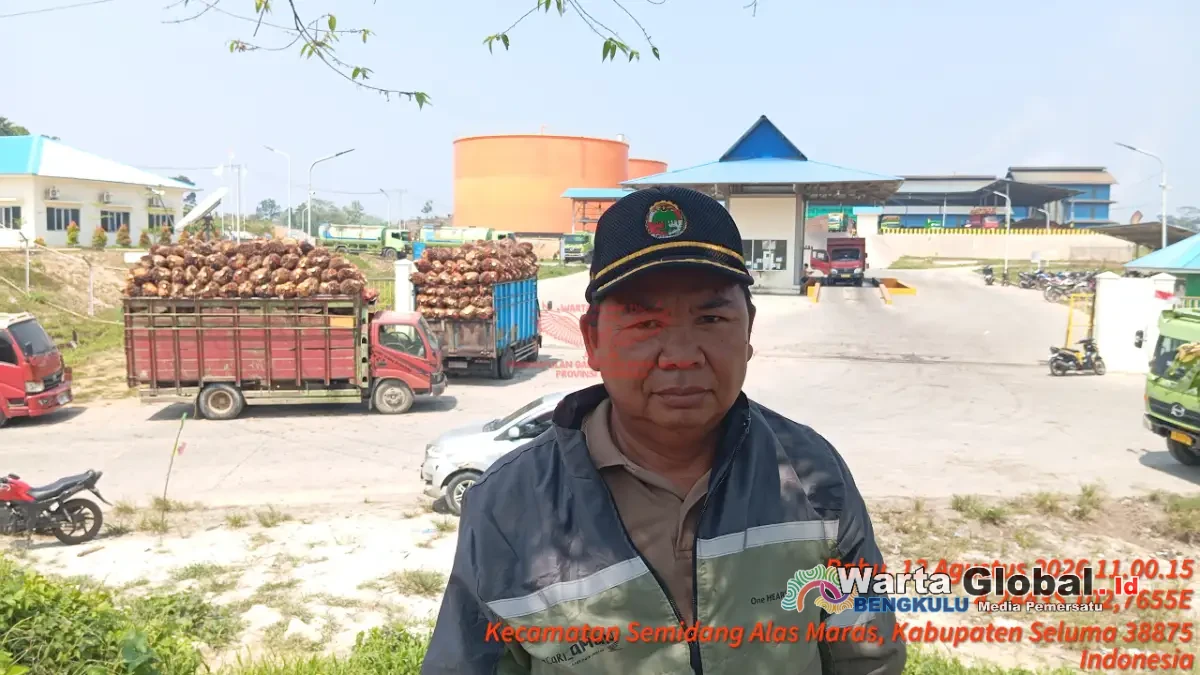 Manajer Pabrik PT Mutiara Sawit Seluma Klaim Koperasi Hanya Bermitra Sebatas Kebun, Bukan Bagian Pabrik — Padahal Satu Payung Induk⁉️ Manajer Pabrik PT Mutiara Sawit Seluma Klaim Koperasi Hanya Bermitra Sebatas Kebun, Bukan Bagian Pabrik — Padahal Satu Payung Induk⁉️