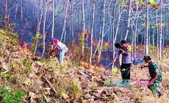 Petugas Gabungan Berhasil Padamkan Kebakaran Hutan Perhutani di Ngadirojo, Polisi Imbau Warga Tidak Bakar Sampah