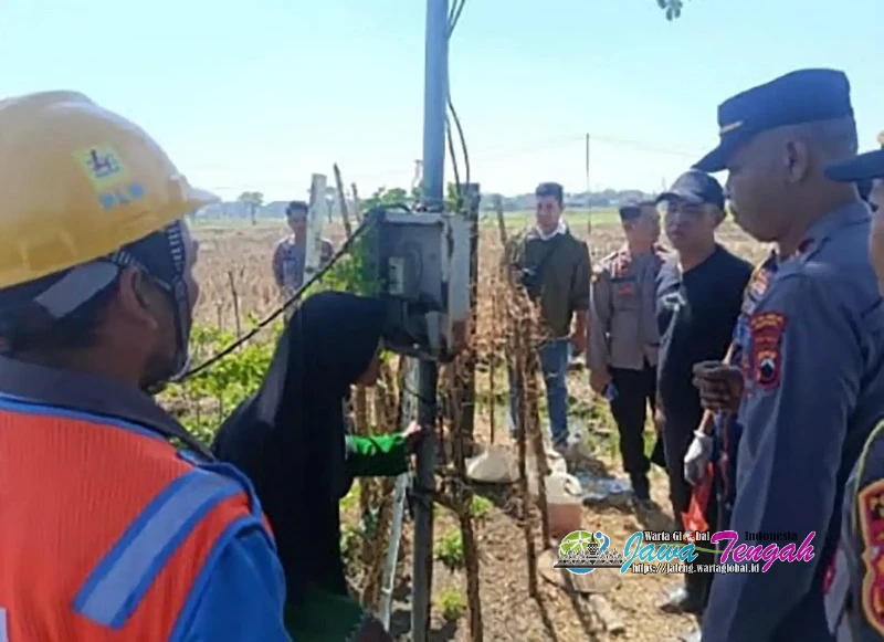 Petani Lansia di Plupuh Sragen Tewas Tersetrum Listrik Pompa Sawah, Polisi Gelar Olah TKP