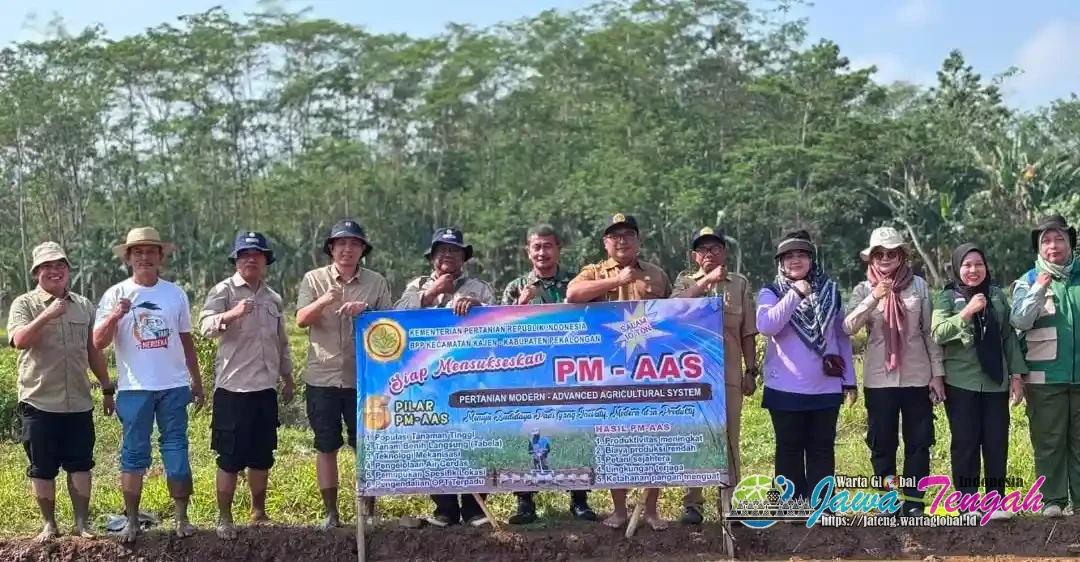 Kelompok Tani Sikunang Dorong Peningkatan Produksi Pangan dengan Gerakan Tanam PM AAS di Pekalongan