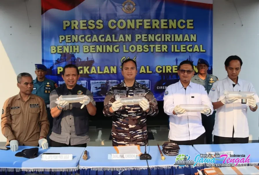 TNI AL Gagalkan Penyelundupan 75.435 Ekor Benih Bening Lobster Senilai Miliaran Rupiah