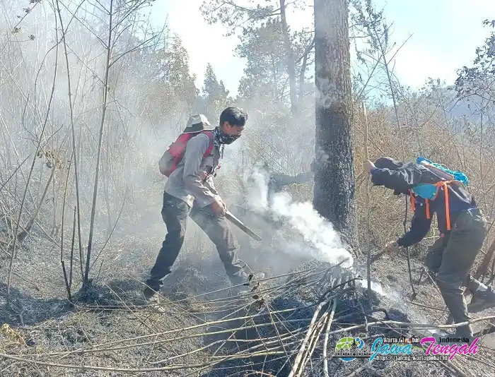 Kebakaran Hutan Gunung Lawu Belum Terkendali, Polres Karanganyar Kerahkan Personel ke Sektor Terdampak