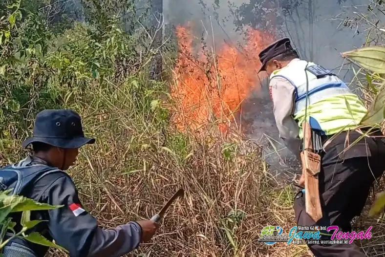 Hutan Perhutani Tawangmangu Terbakar 10 Hektare, Petugas Berjibaku Padamkan Api