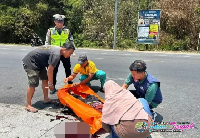 Tabrak Truk di Sambungmacan Sragen, Pemotor Tewas di TKP