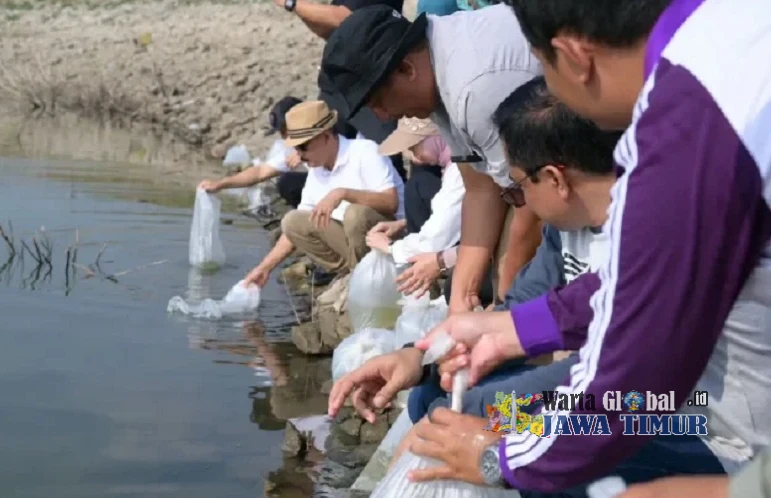 Pemkab Karanganyar Tebar 15.000 Benih Ikan di Dua Waduk, Perkuat Kelestarian Ekosistem Perairan Pemkab Karanganyar Tebar 15.000 Benih Ikan di Dua Waduk, Perkuat Kelestarian Ekosistem Perairan