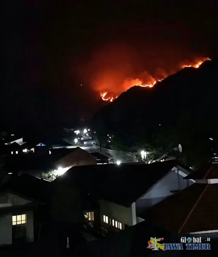 29 TITIK PANAS TERDETEKSI DI GUNUNG WILIS, KEBAKARAN MELUAS , TIM GABUNGAN SIAGA PENUH