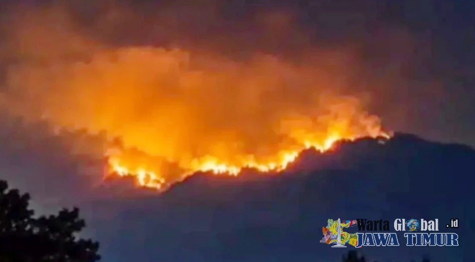 46 TITIK PANAS TERDETEKSI DI GUNUNG WILIS, API BERGERAK KE NGANJUK TIM GABUNGAN SIAGA PENUH