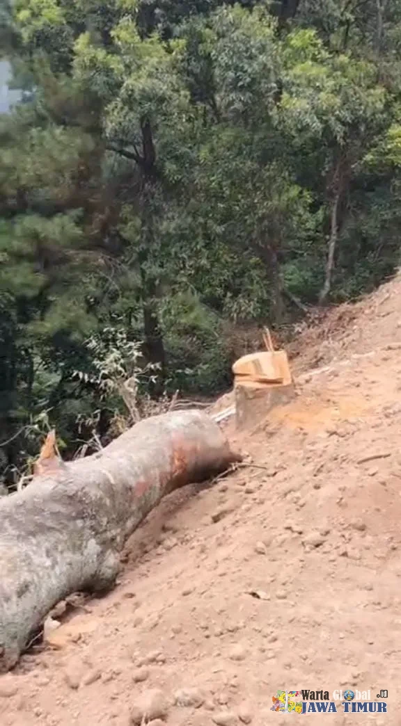 WISATA WATU LAWANG,TEBING DIPOTONG, POHON DITEBANG FAAM TANYAKAN PERAN DISPORABUDPAR, SATPOL PP,BELUM ADA LAPORAN RESMI