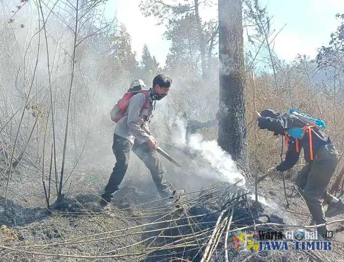 Kebakaran Hutan Gunung Lawu Belum Terkendali, Api Mengancam Jalur Pendakian Cemoro Kandang dan Tambak