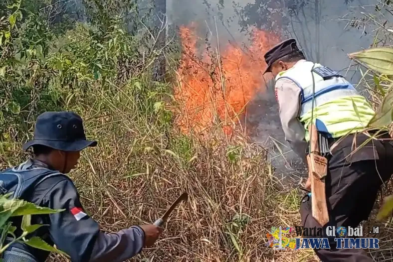Kebakaran Hutan Perhutani di Tawangmangu Meluas hingga 10 Hektare, Petugas Berjibaku Padamkan Api