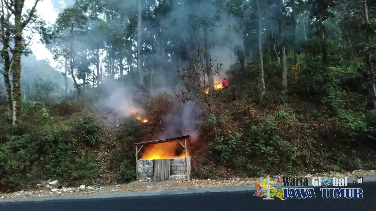 Lupa Jaga Api Bakar Sampah, Angin Kencang Sebabkan Kebakaran di Jl. Trunojoyo Kota Batu