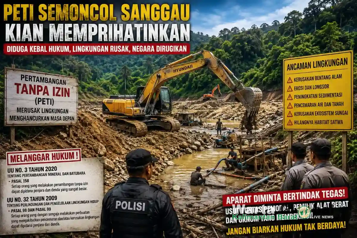 PETI Semoncol Tak Kunjung Reda, GWI Kalbar Desak Kapolri Turun Tangan