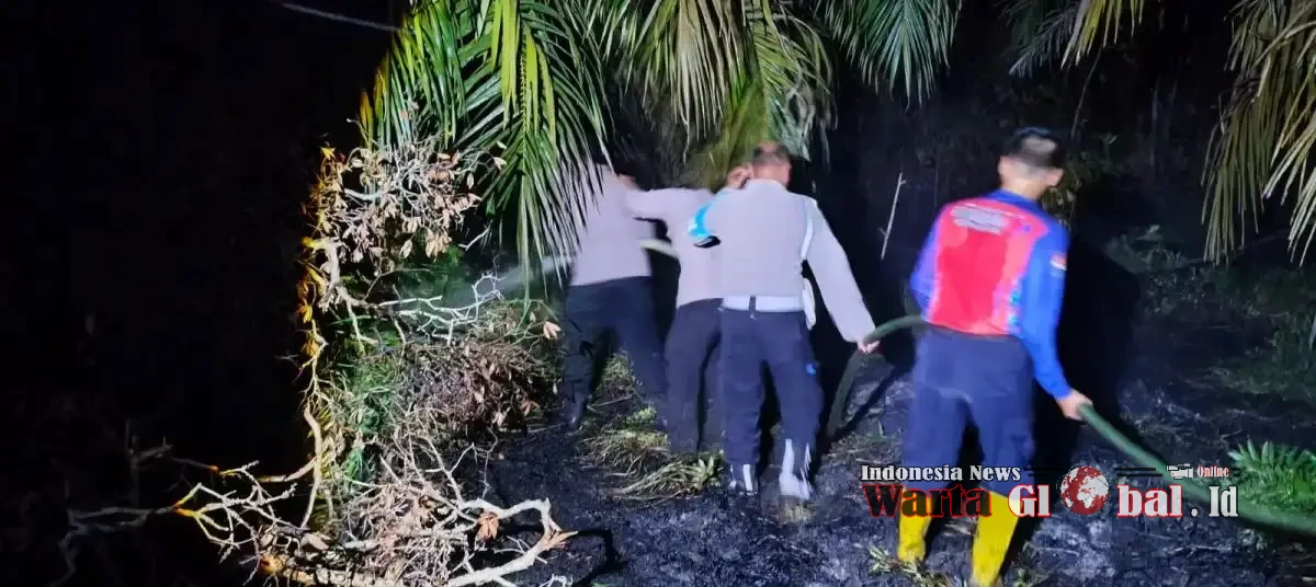 Damkar  Bersinergi  Padamkan Kebakaran  Lahan,Polsek Paser Bengkong Kaltim