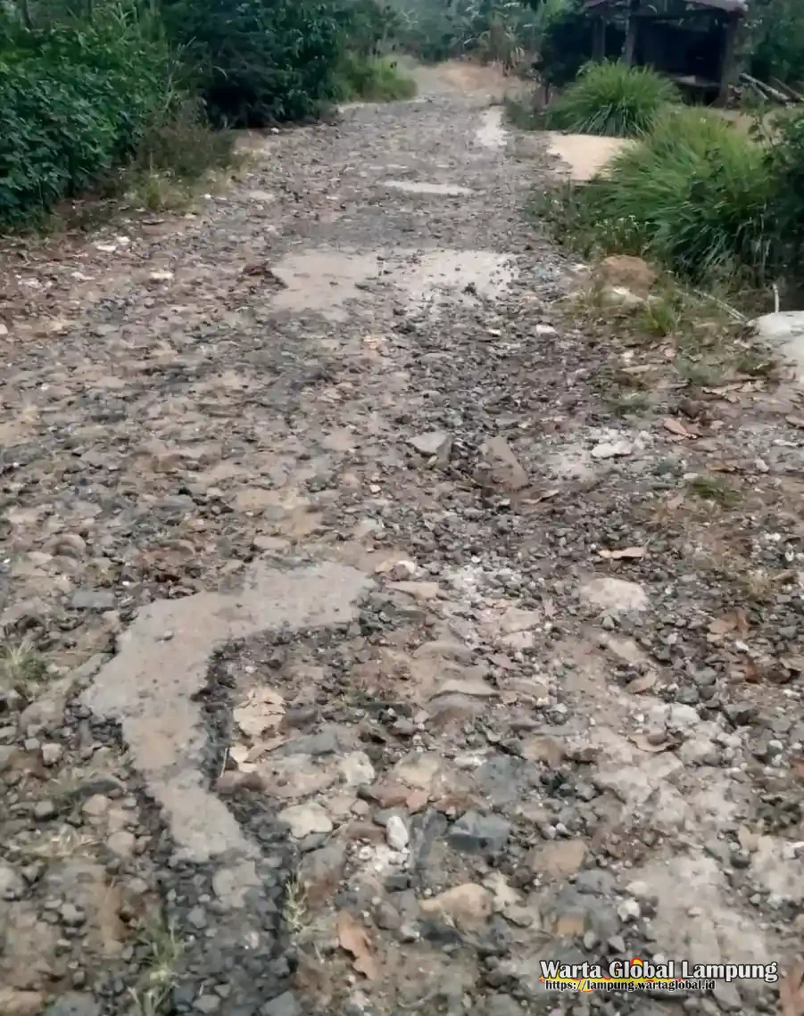 Jalan Utama Pemangku Talang Kinjar Rusak Parah, Warga Harapkan Perhatian Pemkab Lampung Barat Jalan Utama Pemangku Talang Kinjar Rusak Parah, Warga Harapkan Perhatian Pemkab Lampung Barat