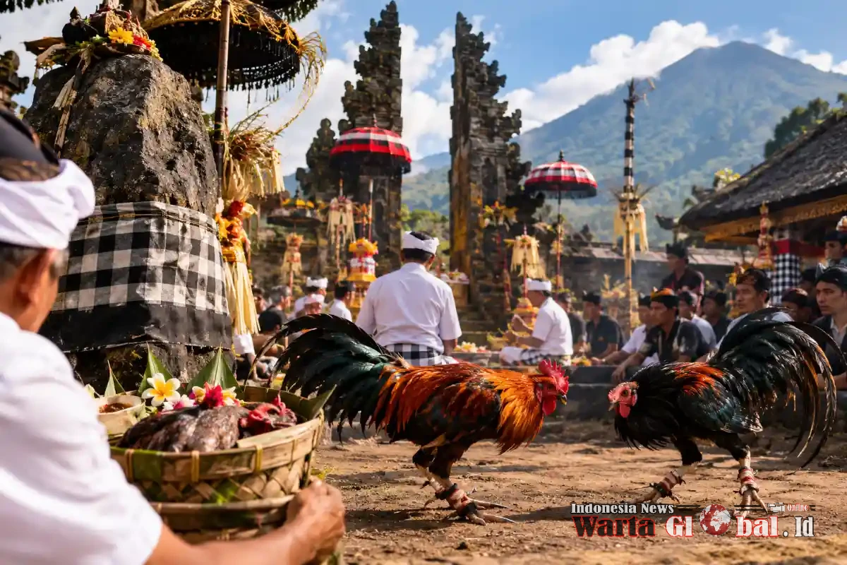 WALI SABAN PASEK DI SUKAWANA: WARISAN ADAT ATAU JUDI? UJIAN NEGARA MELINDUNGI BUDAYA BALI MULA