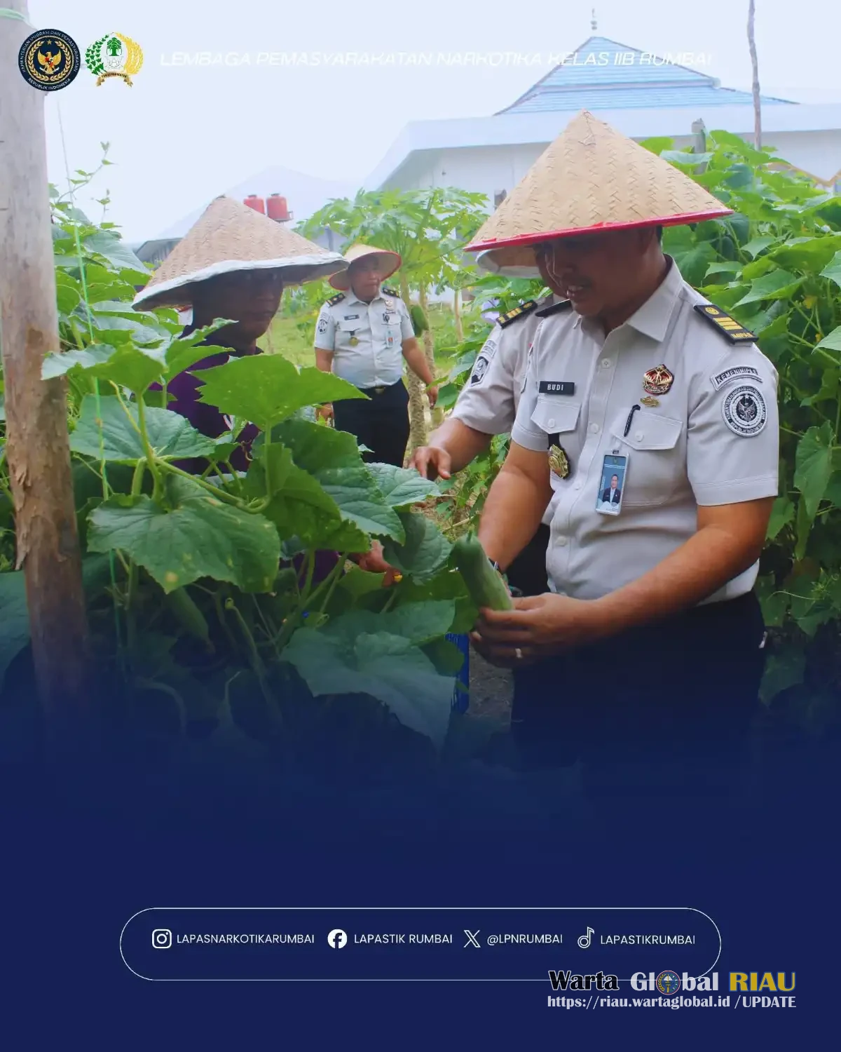 Bukti Nyata Program Ketahanan Pangan, Kepala Lapas Dan Jajaran Pejabat Struktural Lapas Narkotika Rumbai Sukses Panen Timun Bukti Nyata Program Ketahanan Pangan, Kepala Lapas Dan Jajaran Pejabat Struktural Lapas Narkotika Rumbai Sukses Panen Timun