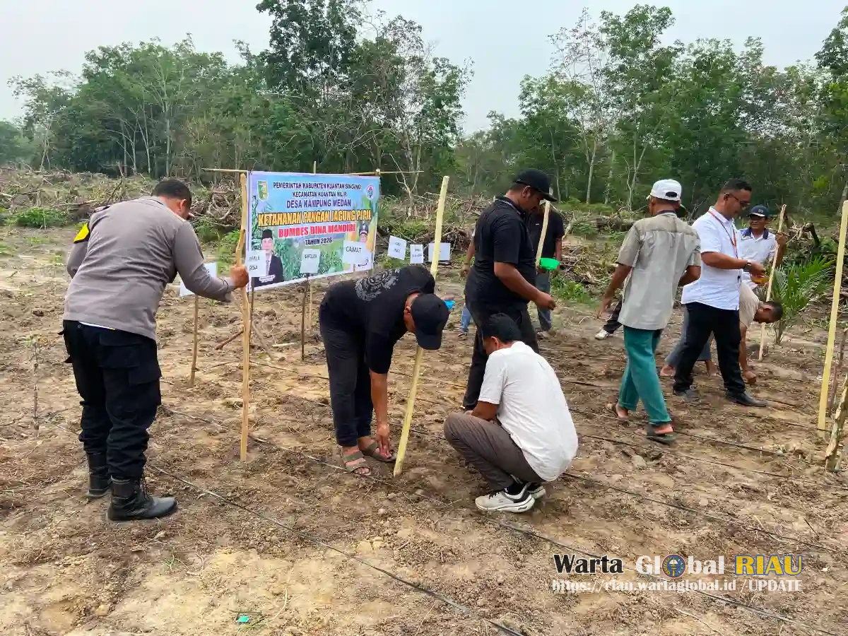 Dukung Ketahanan Pangan, Polres Kuansing Dorong Pemanfaatan Lahan Desa Untuk Tanaman Jagung