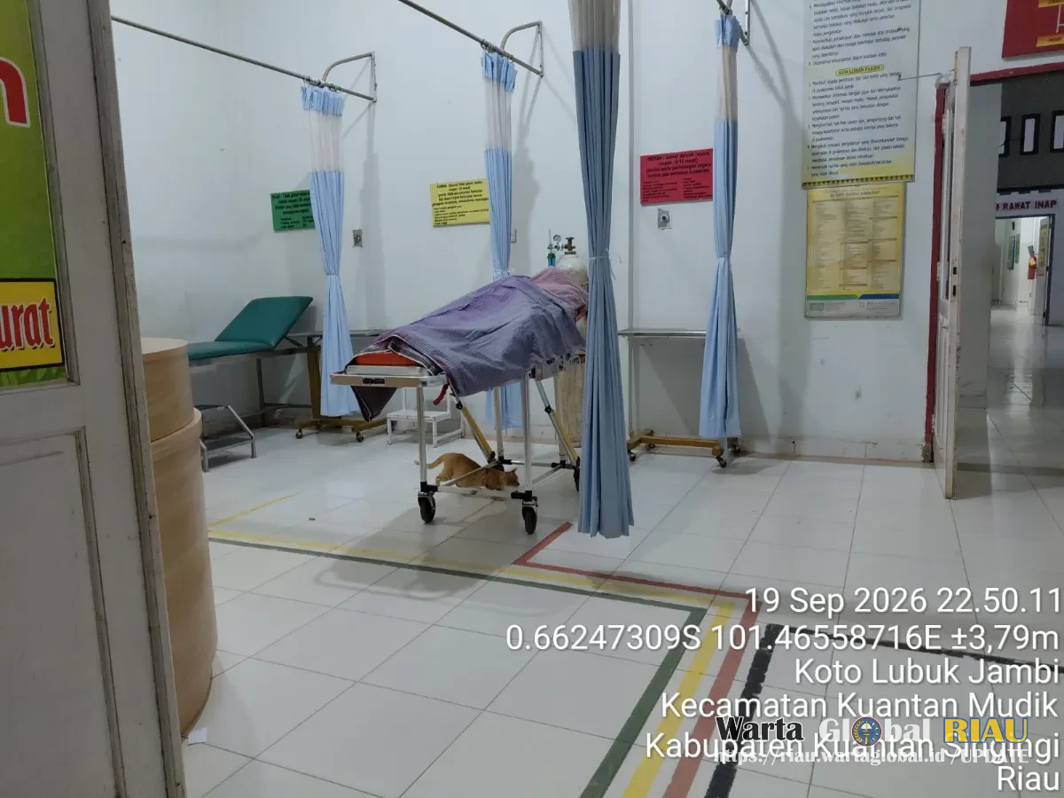 Polsek Kuantan Mudik Tangani Penemuan Petani Meninggal Dunia Di Kebun Sawit