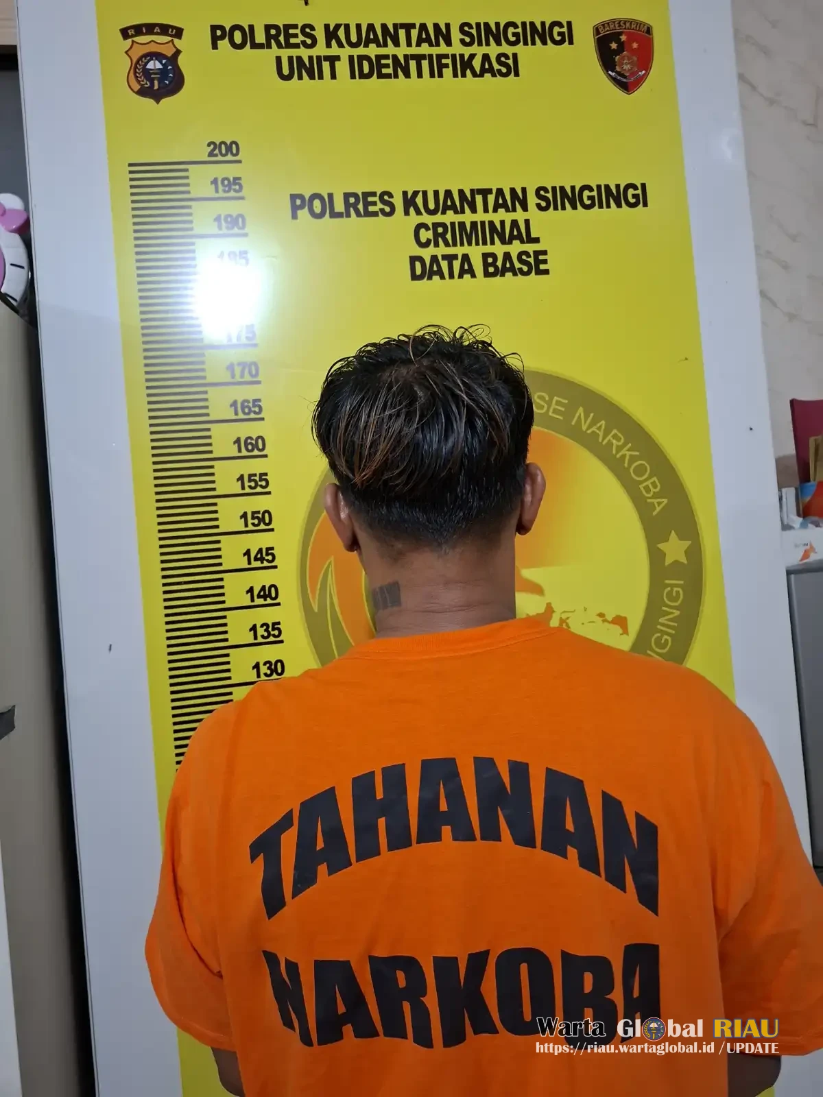 Tim Elang Kuantan Ungkap Peredaran Sabu Dan Ganja Di Kuantan Mudik, Satu Pengedar Diamankan
