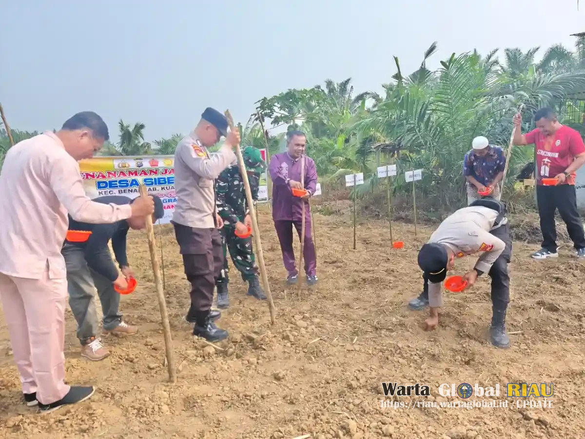 Dukung Swasembada Pangan 2026, Polres Kuansing Bersama Kelompok Tani Tanam Jagung Di Lahan Satu Hektare