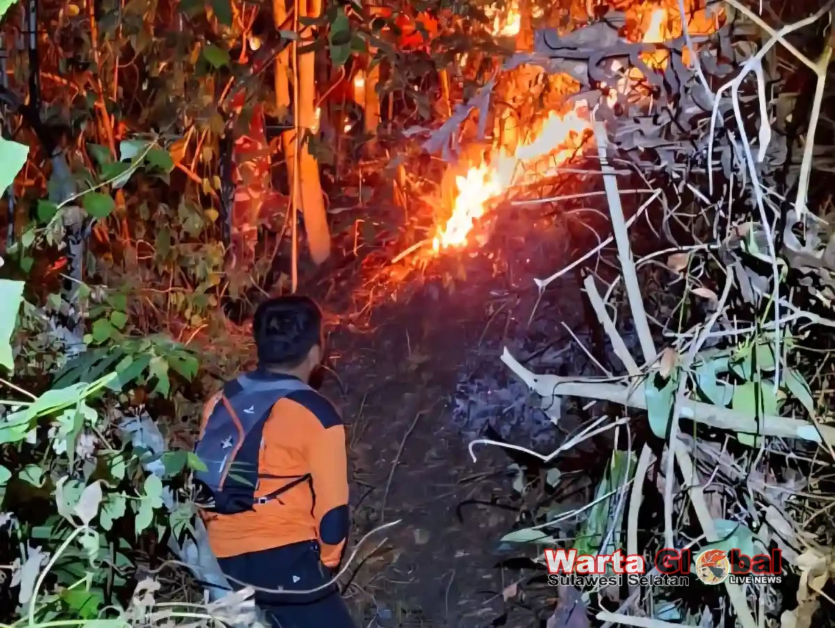 Hadapi Puncak Musim Kemarau, Bupati Enrekang Keluarkan Imbauan Cegah Karhutla dan Krisis Air
